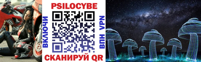 Псилоцибиновые грибы Cubensis  купить наркоту  Дубовка 